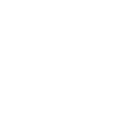 Wolffit